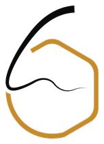 Apicisse